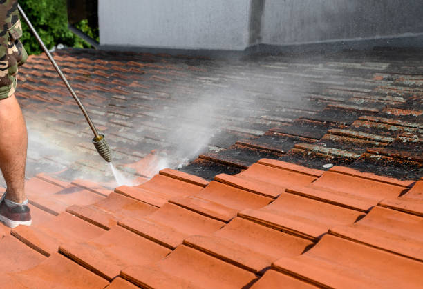 Local Pressure Washing Services in Sumiton, AL