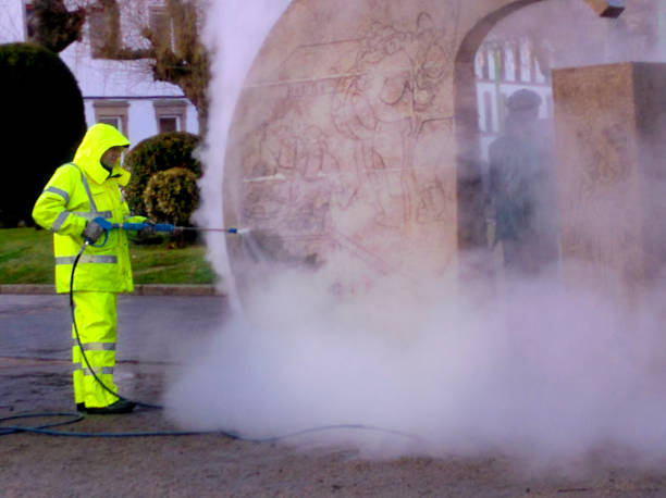 Best House Pressure Washing  in Sumiton, AL