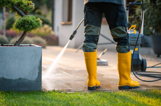 Best House Pressure Washing  in Sumiton, AL